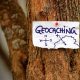 Geocaching T5 GEO