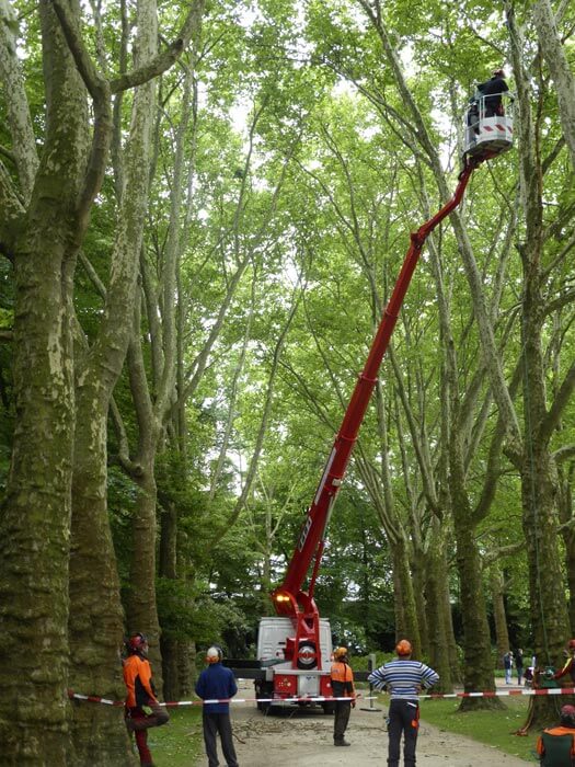 Sicheres Arbeiten Sicheres Arbeiten